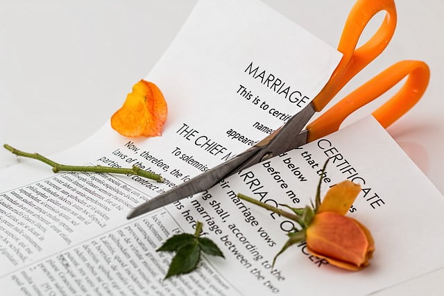 How Can A Private Investigator Can Help You In Divorce Cases By Aryaman Detective How Can A Private Investigator Can Help You In Divorce Cases By Aryaman Detective