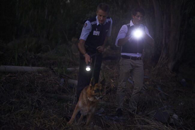Missing Persons Cases The Search for Answers – Aryaman Detective Agency Missing Persons Cases The Search for Answers - Aryaman Detective Agency